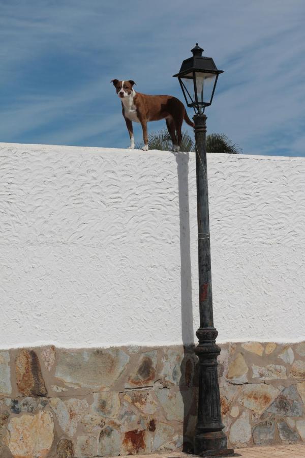 Golf View Apartment - Stunning Ocean View Golf Del Sur San Miguel de Abona Bagian luar foto